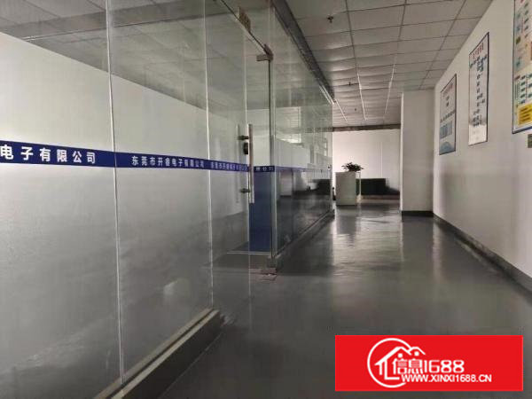 长安沙头沙区，新出楼上1000平带精装修办公室，车间水电齐全