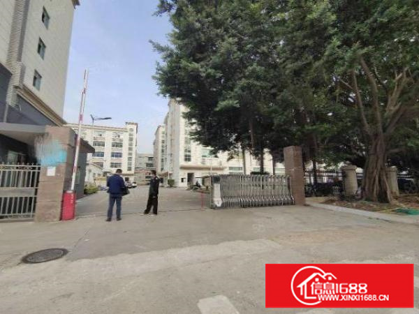 福永桥头新空出独门独院3栋厂房30000平方免租期3个月起