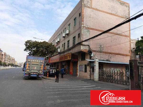 常平标准厂房出租交通方便形象靓女