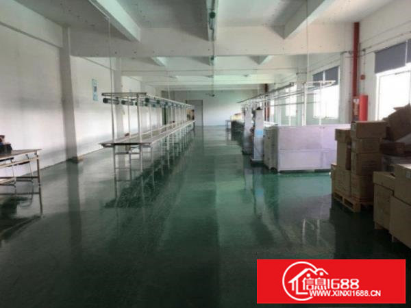 坪山坑梓比亚迪附近新出1000平现成精装修厂房