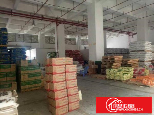 坪地两层厂房分租每层1300带豪华装修