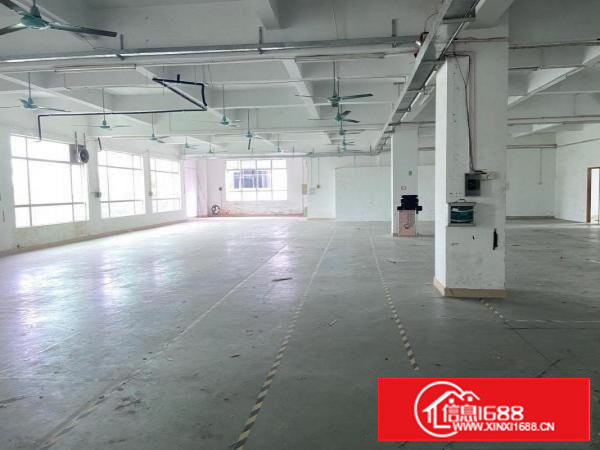 塘厦科苑城楼上带现成水电办公室装修1050平米整层出租