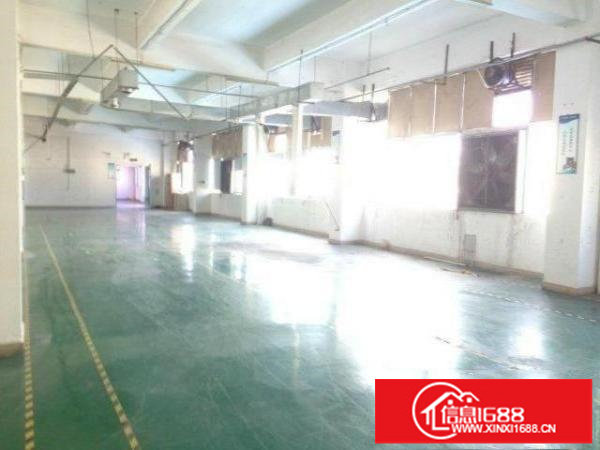大浪富隆特新出一楼350平带装修厂房招租
