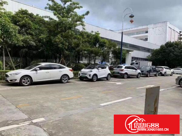 坪山六联新出原房东一楼1350平厂房出租层高9米