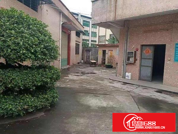 寮步石龙坑单一层小独院厂房出租1300平方