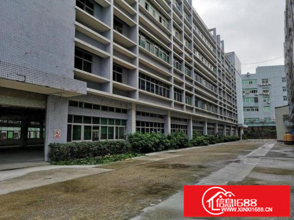 横岗六约珠宝园红本独院43800平厂房出租可分租