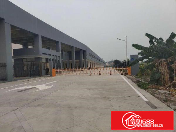 常平镇原房东全新物流园46000平出租