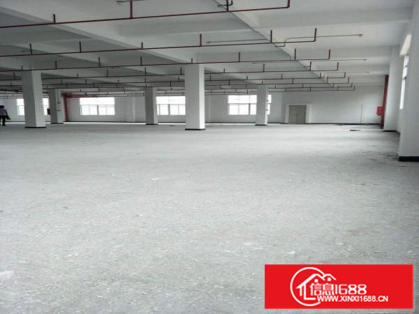 仲恺八路主干道边上全新厂房2800平可分租