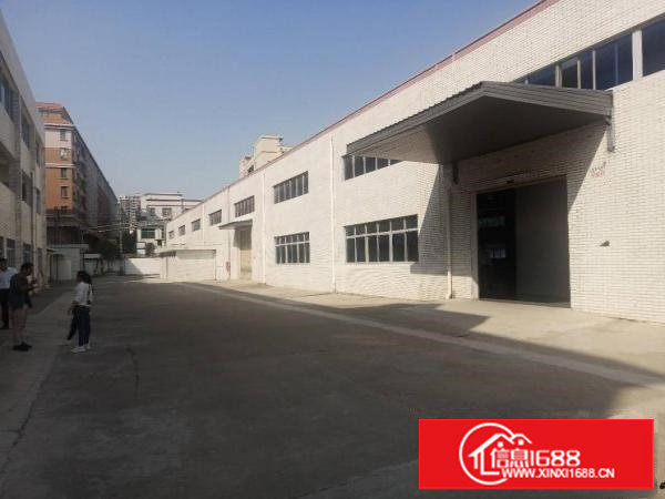 长安镇乌沙原房东独院钢构2760平方低价出租，面积无公摊