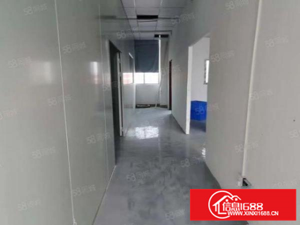 观澜桂花新出楼上600平方带装修厂房出租