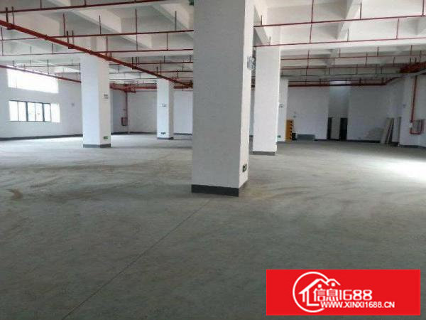 坂田南坑工业区3万平方厂房仓库出租200平方起租一楼高6米