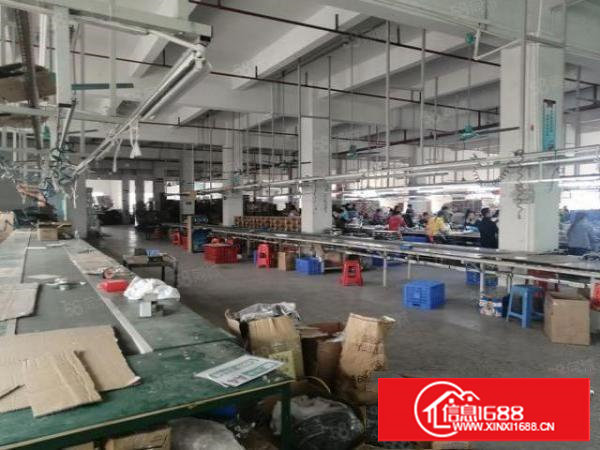 塘厦石马独院厂房出租3000平500平起分租带地坪漆带装修。