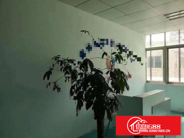 塘厦清湖头楼上精装修1000平