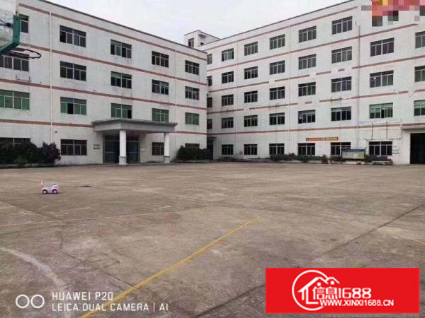 南联新出原房东楼上厂房700平出租带办公室装修面积实在