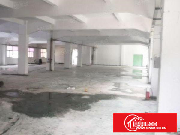 一站式独院厂房全新刷墙装修，大小面积出租，价格商议。证全！