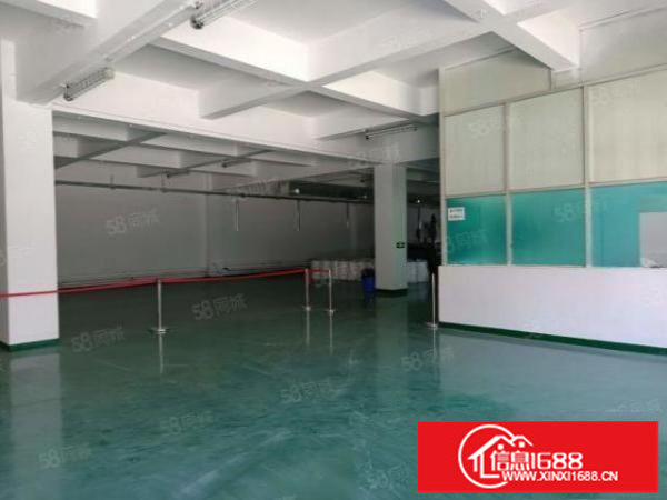 松岗沙浦靠近107国道边上带全新地漆带精装办公室厂房900平