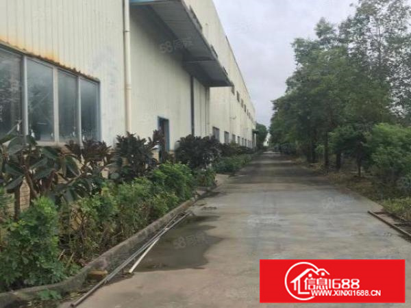 官窑新出原房东红本厂房