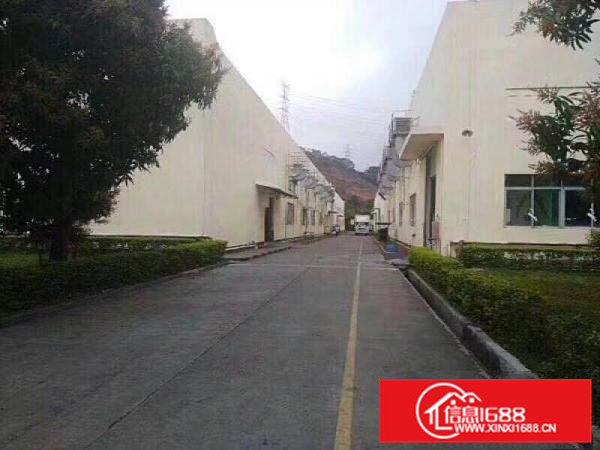 凤岗7米高全新独院钢构厂房6800平方出租