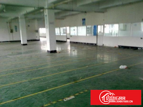 民治油松新出3楼800平方带装修免转让费急租