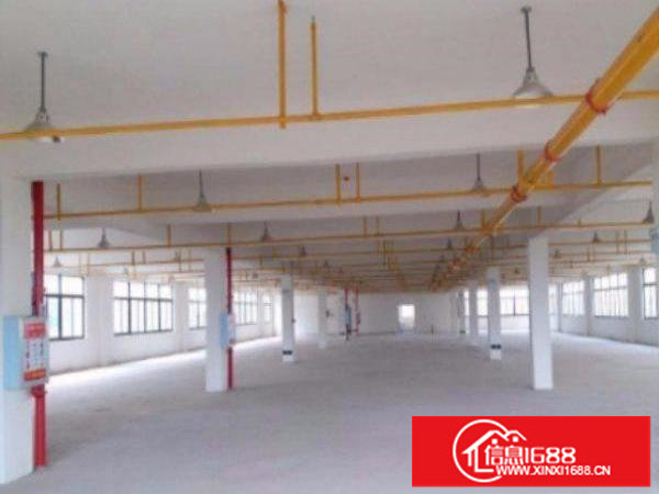 龙岗区横岗高端大气楼上标准厂房1650平形象好水电齐全