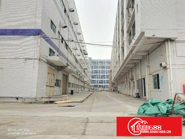 长安上沙新出8万平方带红本厂房，合同年限长，靠近沿江高速