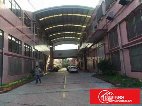 陈江独院70000平方12米高钢结构厂房（可分租）