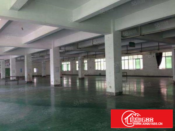 新出石排经典独院标准厂房5200宿舍1800带行车