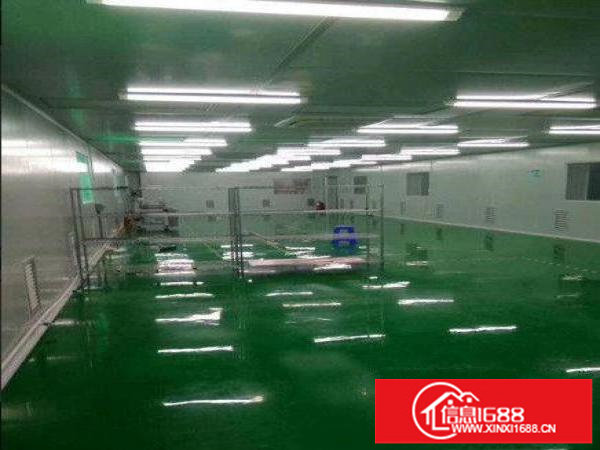 带无尘车间，龙岗区坂田楼上厂房800平出租