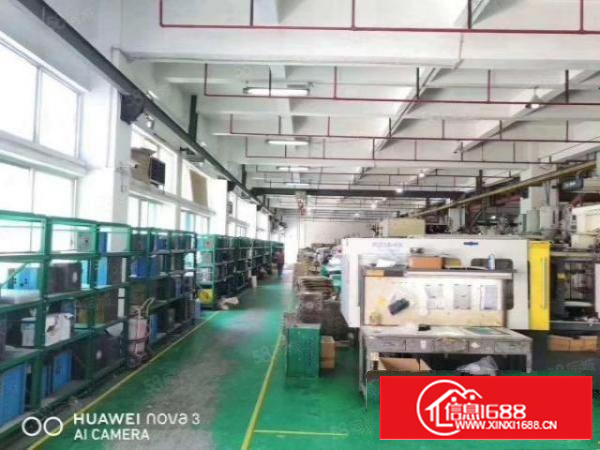 万江新出原房东独门独院楼房厂房出租