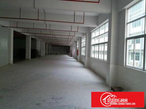 16元起近红棉路横岗一栋厂房500平米起分租带装修