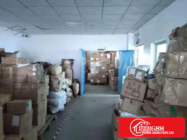 大浪新百丽港深创新园新出三楼500平带精装修适合电商贸易