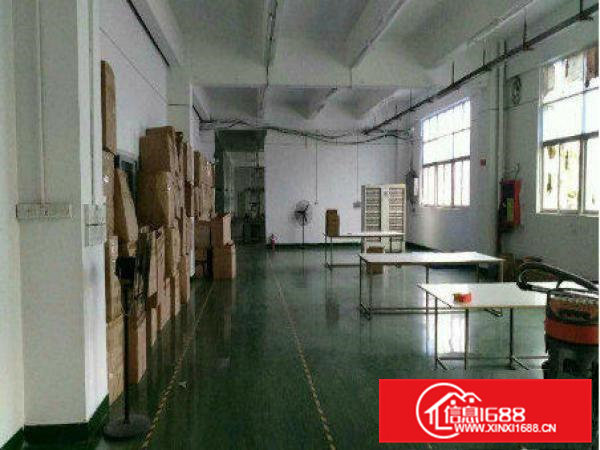 常平袁山贝新出2300平米带装修厂房出租