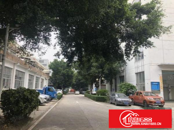 观澜福民原房东红本花园式厂房带精装修无尘车间1842平