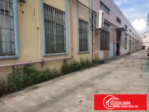 狮山一环附近2900方红本砖墙到顶单一层厂房