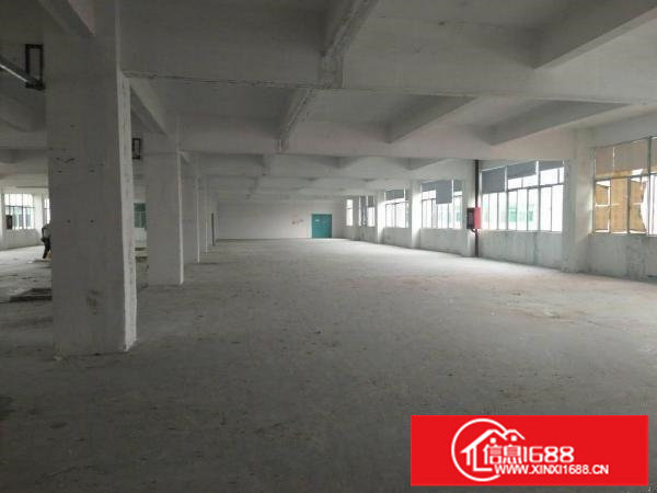 坂田天安云谷旁1550平一楼标准厂房