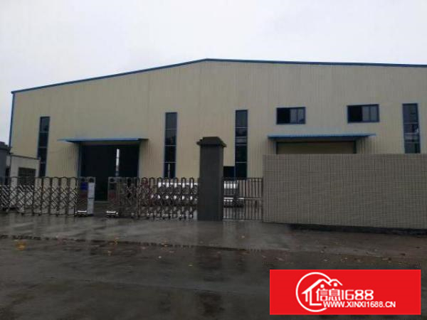 国有土地，不会拆迁，伦教新建厂房出租