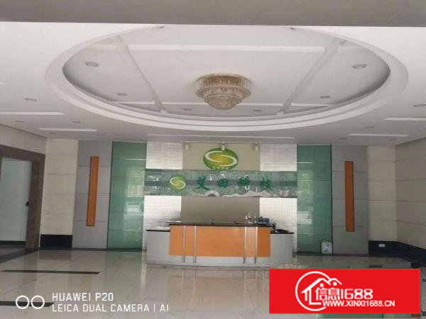 虎门小捷滘精装修一楼一楼2080方