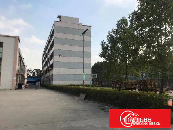 广东省东莞市高埗镇原房东标准厂房出租