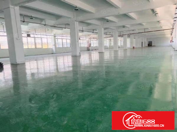 雁田布心新出一楼二楼各2200平厂房出租分租空地大