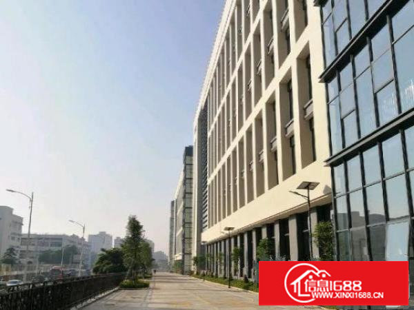 松岗燕罗街道朝阳路全新红本厂房招租