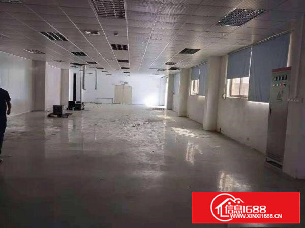 塘厦东深二线旁原房东现成装修独门独院5700平方水电齐全急租