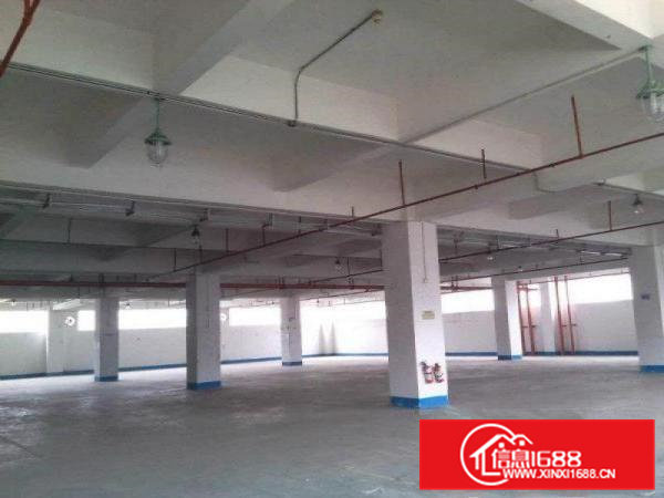 石排新出国有证独院厂房3200平方出租可办环评