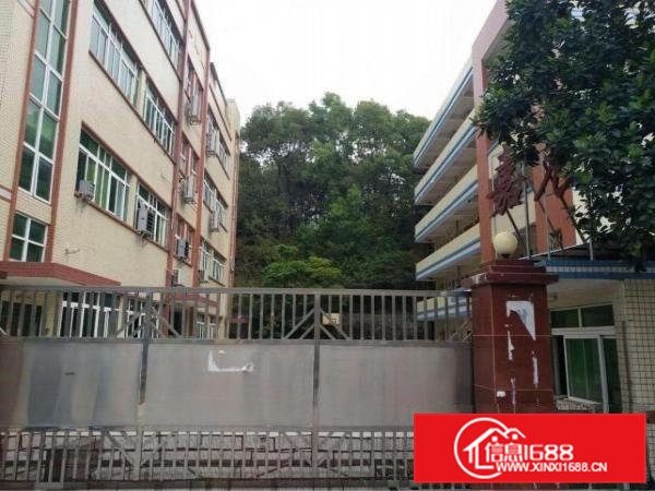 凤岗镇碧湖大道边标准独院厂房6000平方米出租