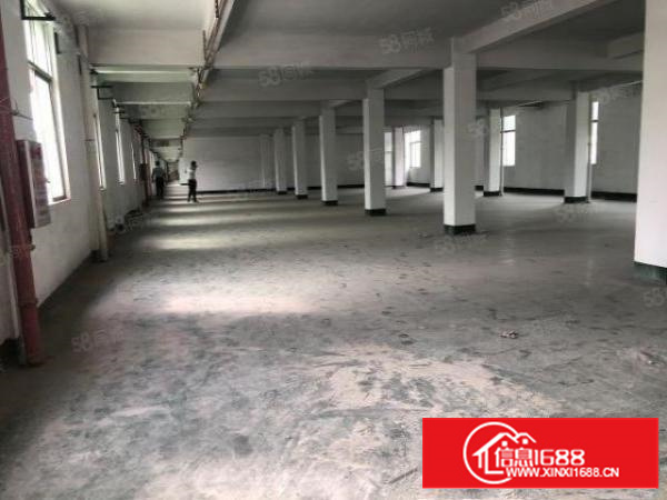 凤岗黄洞村新出一二楼3000平方工业厂房出租