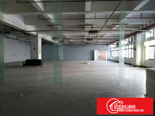 坂田高速口1200平独门独院厂房