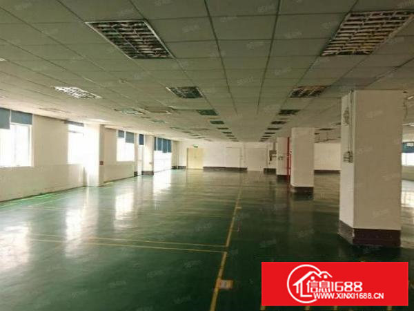 企石东山村860平大型园区厂房出租配套齐全