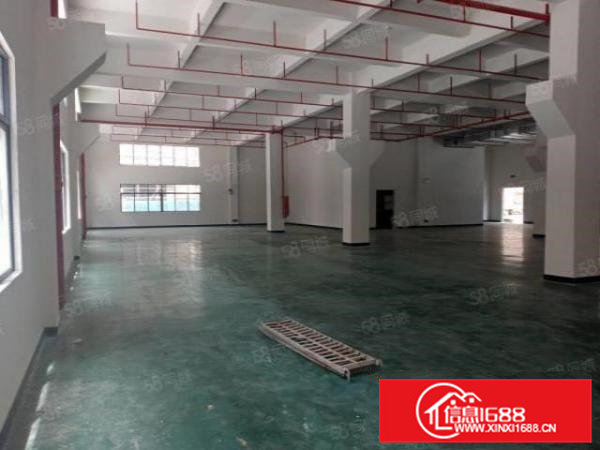 清溪原房东红本厂房出租1万8千平一楼层高7米带牛角5百平起分