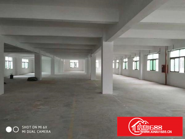 坪山碧岭工业区4楼5楼2000平米每层出租