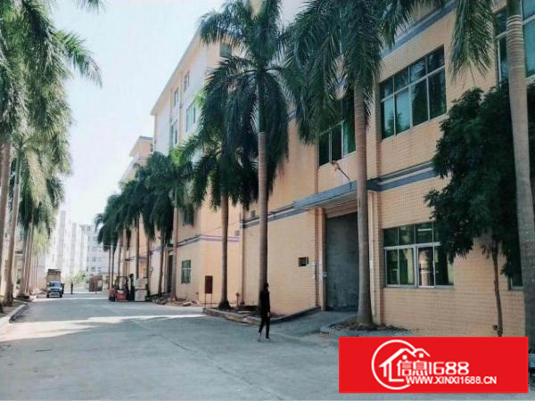 坑梓独院厂房带装修3000平米