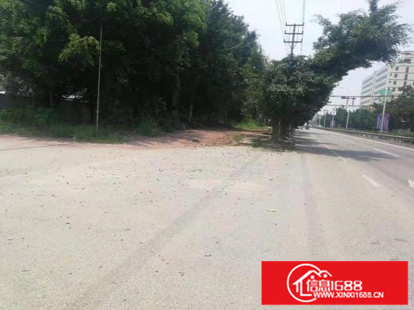 惠阳新圩独门独院红本标准厂房3000平出租